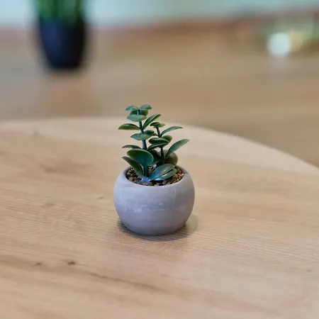 Gaestehaus Binz-meyer Moselschleife リーザー