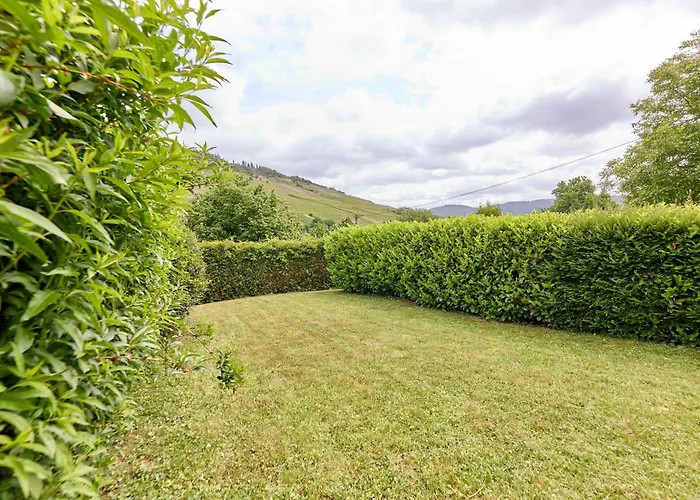 アパート Gaestehaus Binz-meyer Moselschleife