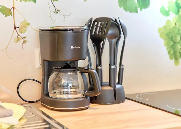 Gaestehaus Binz-meyer Moselschleife * リーザー